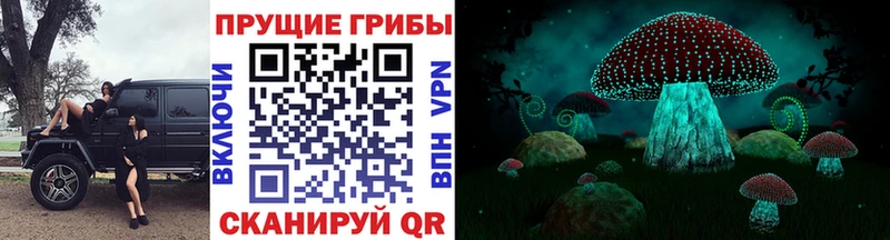 Псилоцибиновые грибы Cubensis Ипатово